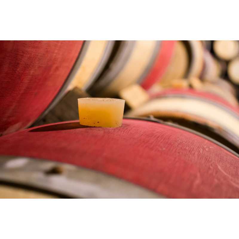 ღვინის კასრის დამცავი საღებავი