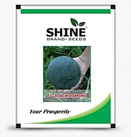 WaterMelon Black Diamond- Shine Brand Seeds