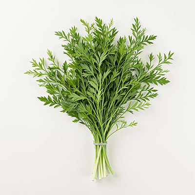 Dill / Eneldo | Per Container