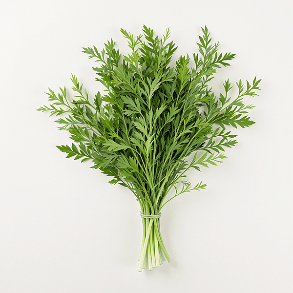 Dill / Eneldo | Per Container