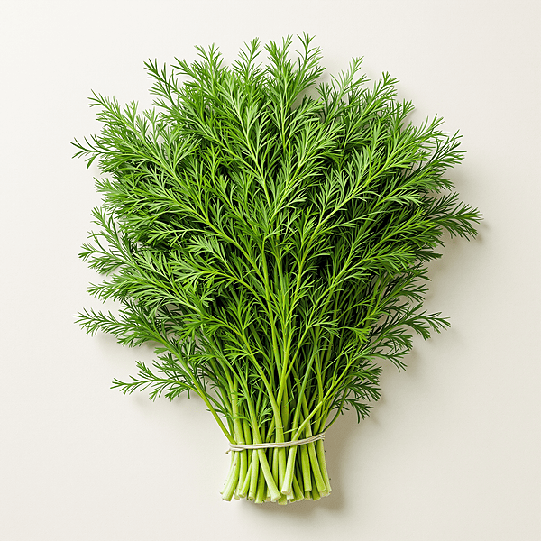 Dill / Eneldo | Per Lb