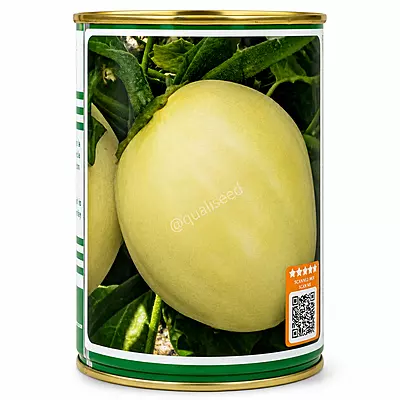 AFRICAN EGGPLANT DJAMBA F1