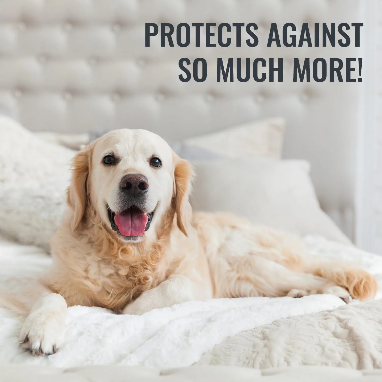 DMI Waterproof Mattress Protector and Cover, Contoured Fitted Sheet Fit, King Fitted King