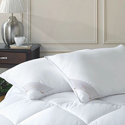 Down Feather Pillow Insert - Queen