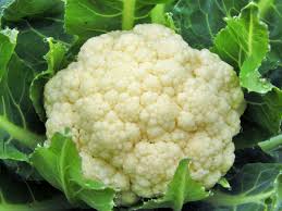 CAULIFLOWER | காளிபிளவர்