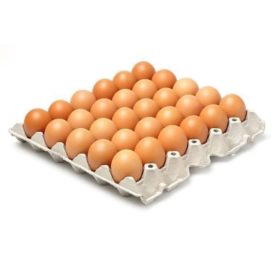 Chicken Eggs