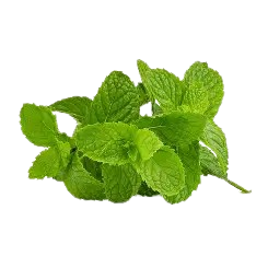 Mint Leave-1kg