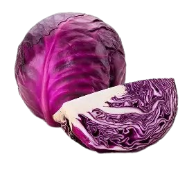 Cabbage Red=PRICE OPTIONS