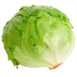 Iceberg lettuce=PRICE OPTIONS