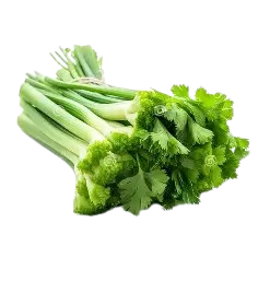 Celery bundleⅩ3
