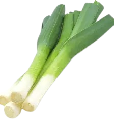 Leek