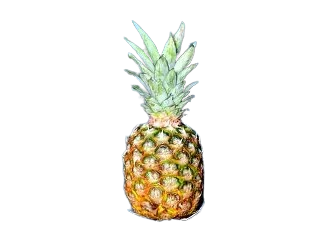 Pineapple-Semi/Ripe=WITH OPTIONS