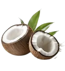 Coconut=WITH OPTIONS