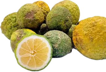 Lemon-Local=WITH OPTIONS