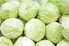 CABBAGE