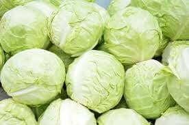 CABBAGE