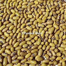 YELLOW BEANS PER KG YELLOW BEANS PER KG