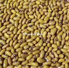 YELLOW BEANS PER KG