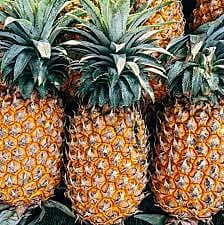 PINEAPPLES