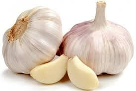 GARLIC