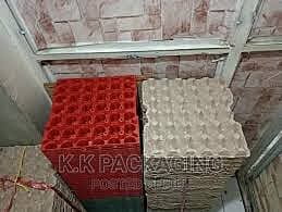 EMPTY PAPER EGG TRAY 30PCS