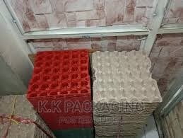 EMPTY PAPER EGG TRAY 30PCS