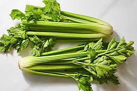 CELERY