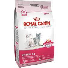 Royal Canin Croquetas para Gatos, Kitten, 3.17 kg (El empaque puede variar)