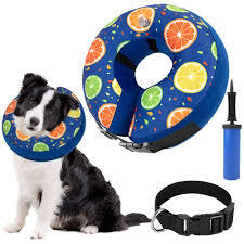 SlowTon Collar Isabelino para Perro, Cono Inflable de Recuperación para Grande Pequeña Perros o Gatos, Ajustable Suave Dona Isabelina Post Cirugía, Evitar Mordida y Arañazo, con Inflator (Azul, L)