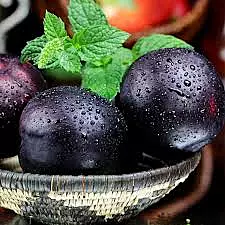 Black Ice Mustang Plum