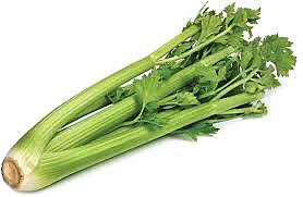 Celery Pkt
