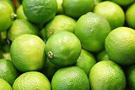 Limes Kg