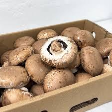 Mushroom Brown Kg