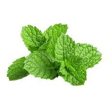 Herbs Mint Kg
