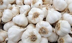 Garlic Fresh Kg