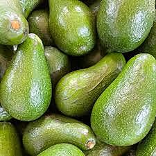 Avo kg