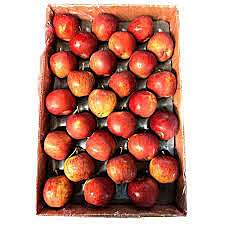 Apples Red Big Box
