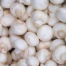 Mushroom White Kg