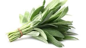 Herbs Sage Kg