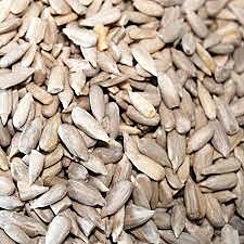 Seeds Sunflower Kg