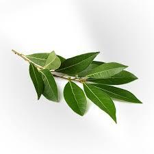 Herbs Bayleaves Kg