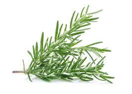 Herbs Rosemary Pkt