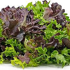 Lettuce Mix Prepack