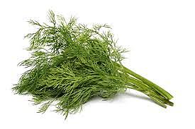 Herbs Dill Pkt