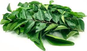 Herbs Curry Leaves Kg
