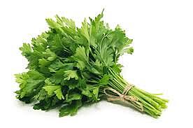 Herbs Italian Parsley Pkt