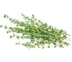 Herbs Thyme Pkt