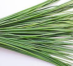 Herbs chives pkt