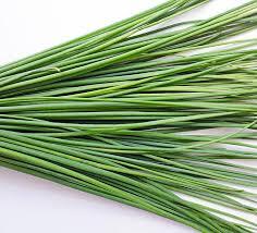 Herbs chives pkt