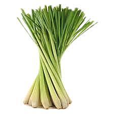 Herbs Lemon Grass Kg